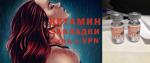 крисы Новозыбков