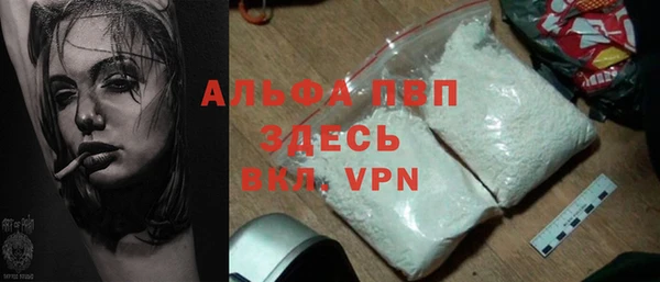 сатива Новокубанск