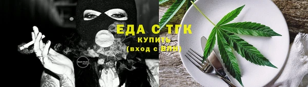 индика Нягань