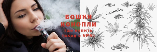 крисы Новозыбков