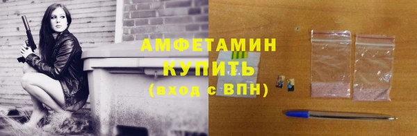 крисы Новозыбков