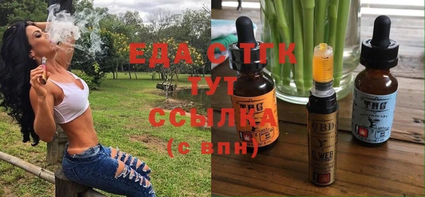 индика Нягань