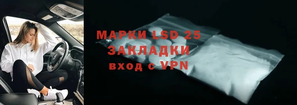 крисы Новозыбков