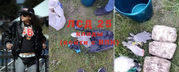 сатива Новокубанск
