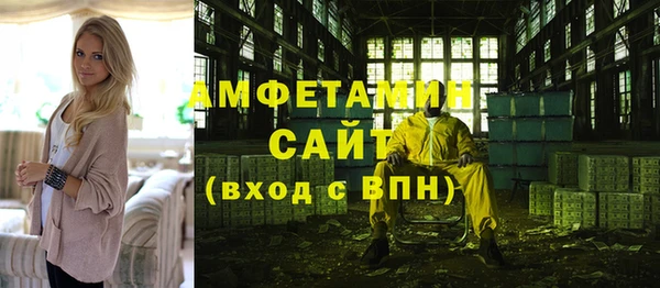 крисы Новозыбков