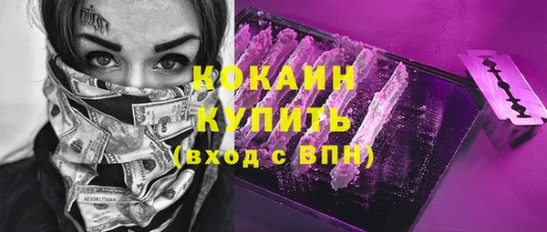 сатива Новокубанск