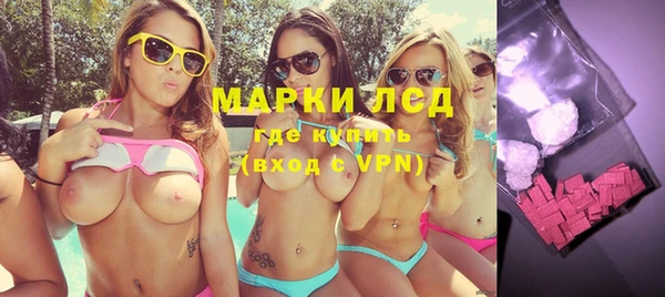 прущие грибы Весьегонск