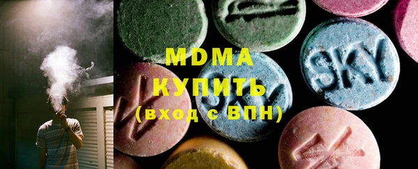 индика Нягань