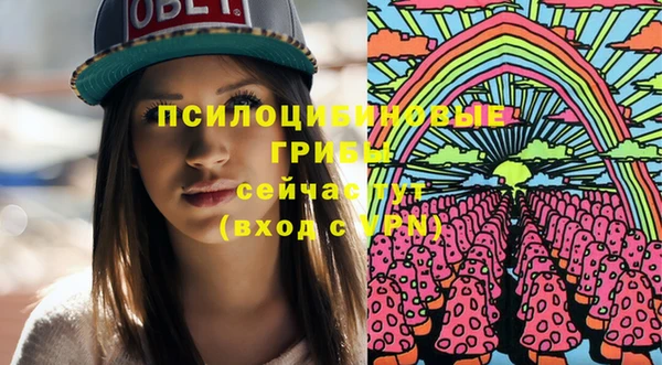 сатива Новокубанск