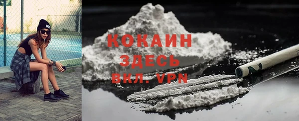 индика Нягань