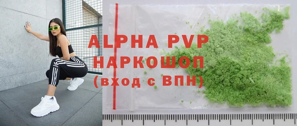 сатива Новокубанск