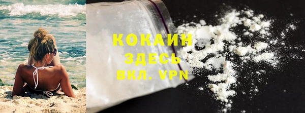 крисы Новозыбков