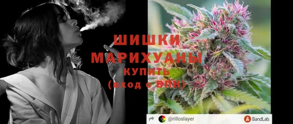 сатива Новокубанск