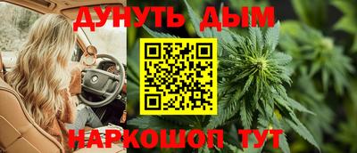 прущие крисы Абакан