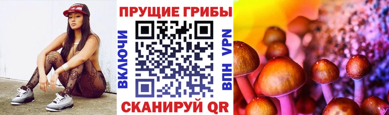 Галлюциногенные грибы Psilocybine cubensis  Ртищево 