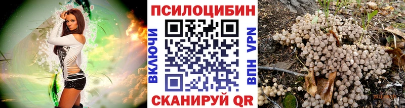 Псилоцибиновые грибы прущие грибы Ртищево