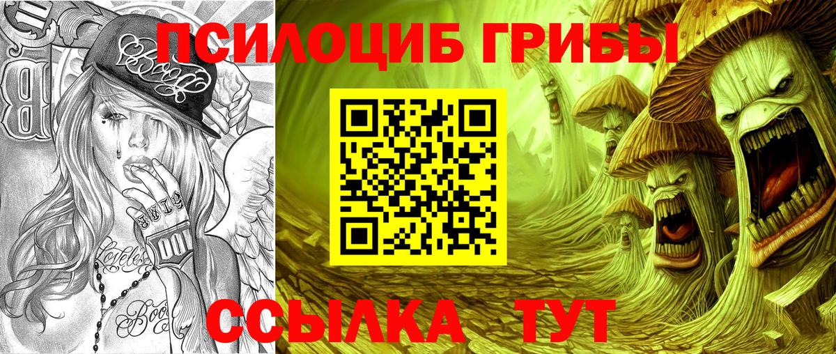 Ртищево  Псилоцибиновые грибы GOLDEN TEACHER  Вход с VPN 