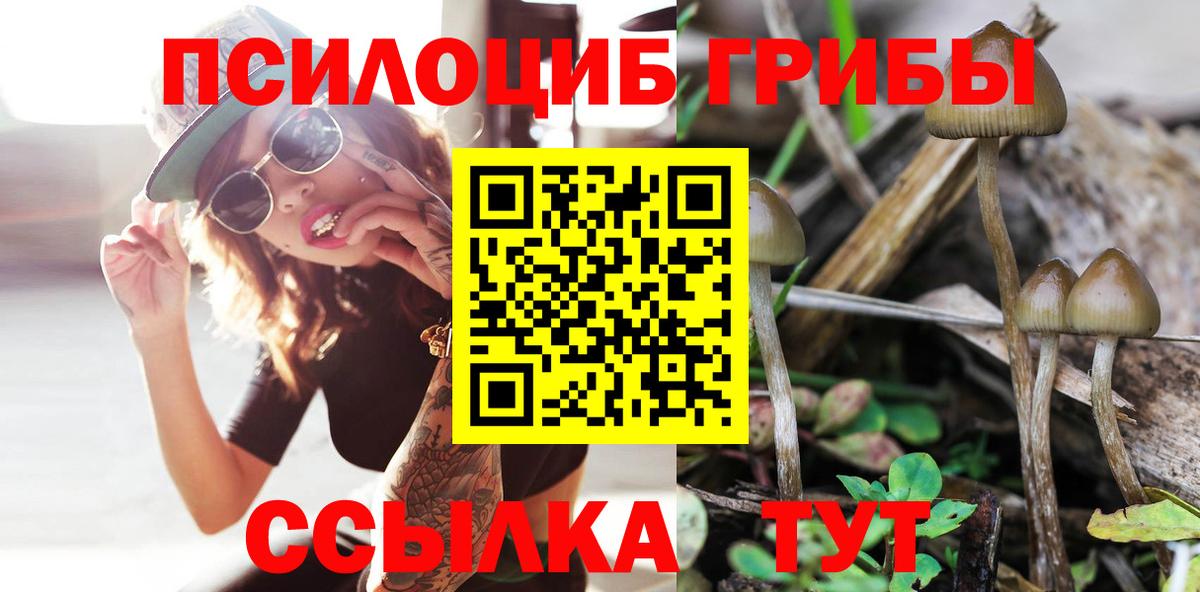 Галлюциногенные грибы Psilocybine cubensis Ртищево