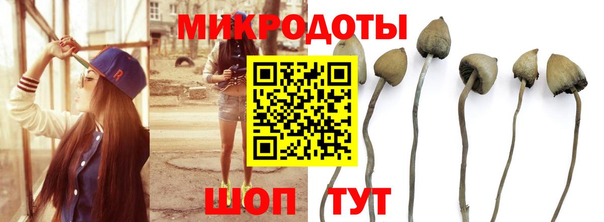 Галлюциногенные грибы Psilocybe  Вход с VPN  Псилоцибиновые грибы ЛСД  Ртищево 